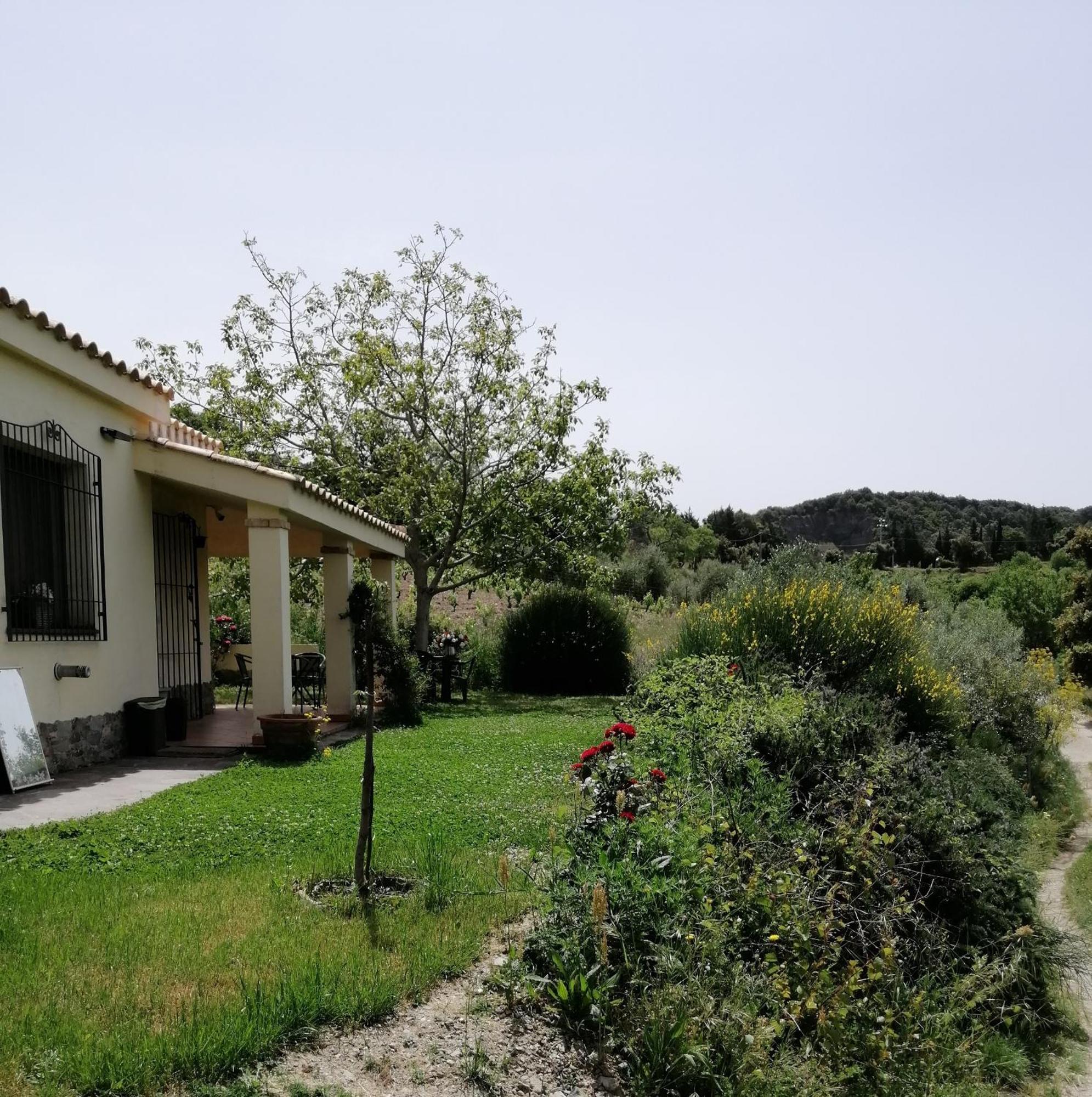 S'Orrosa Casa Vacanze Bifamiliare In Montagna Panorama Stupendo Sardegna Seulo Exterior photo