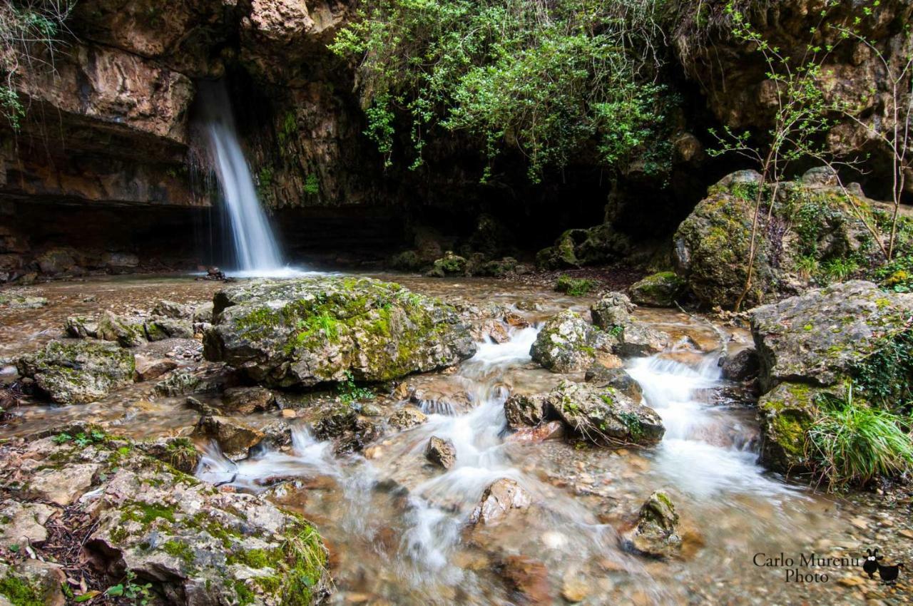 S'Orrosa Casa Vacanze Bifamiliare In Montagna Panorama Stupendo Sardegna Seulo Exterior photo